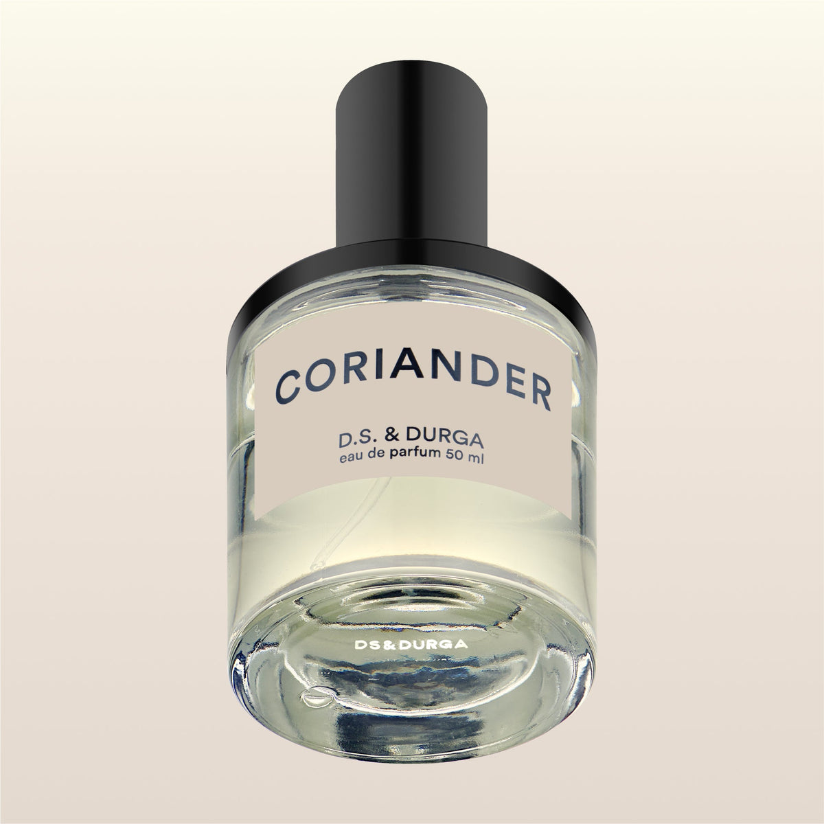 Coriander
