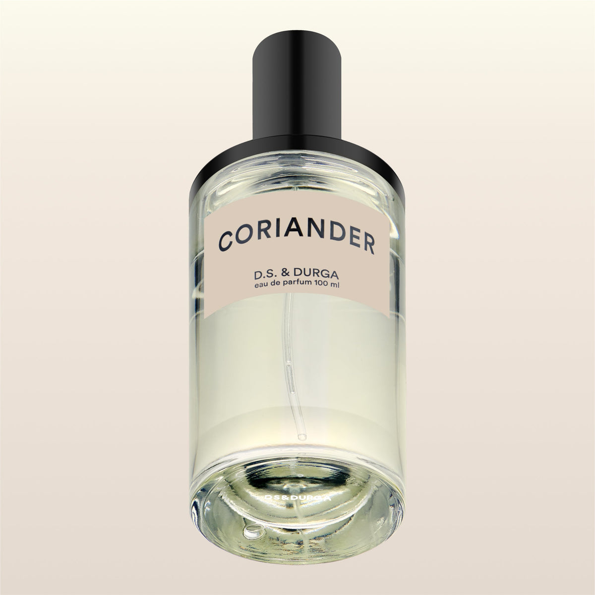 Coriander